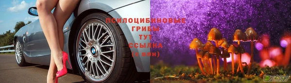 соль ск Новодвинск