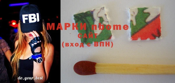 соль ск Новодвинск