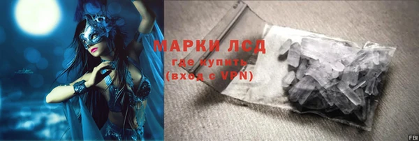 соль ск Новодвинск