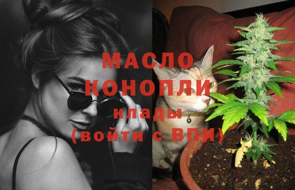 мет Новозыбков