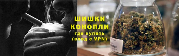 мет Новозыбков