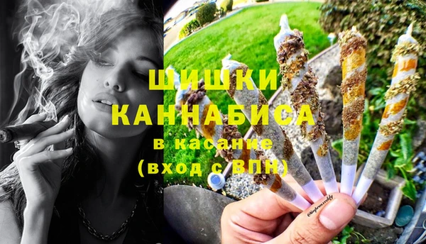 соль ск Новодвинск