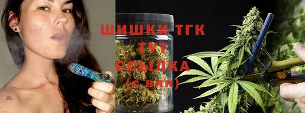 мет Новозыбков