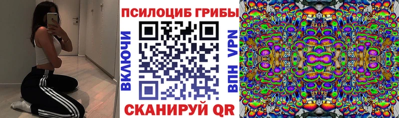 наркота  Ревда  Псилоцибиновые грибы Psilocybine cubensis 