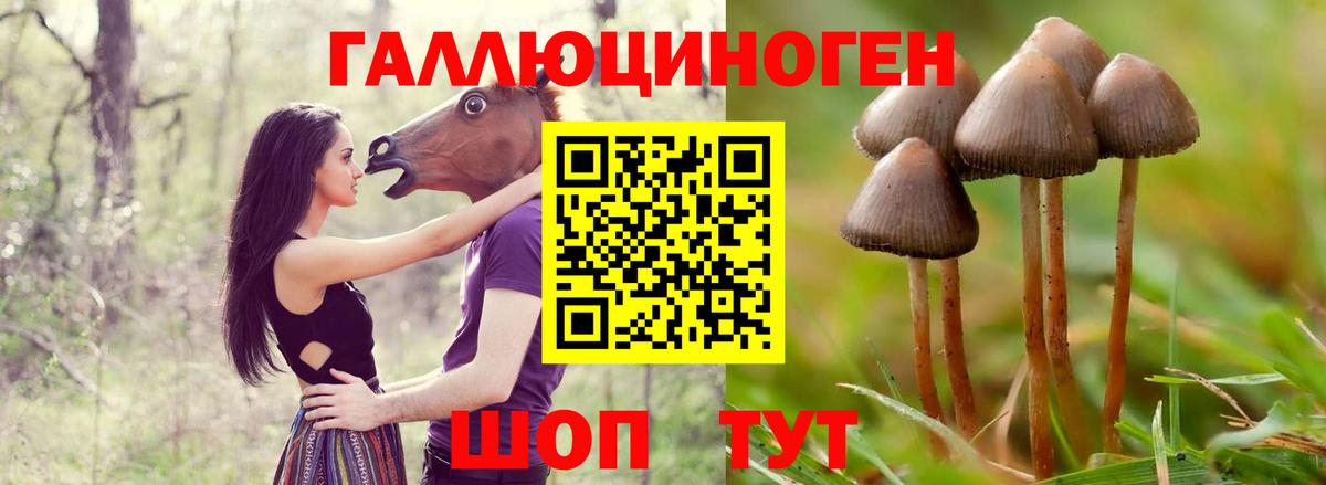 Ревда  Галлюциногенные грибы Magic Shrooms  Вход с VPN 