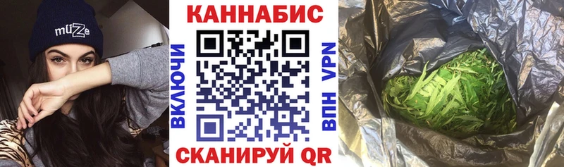 Конопля сатива Ревда